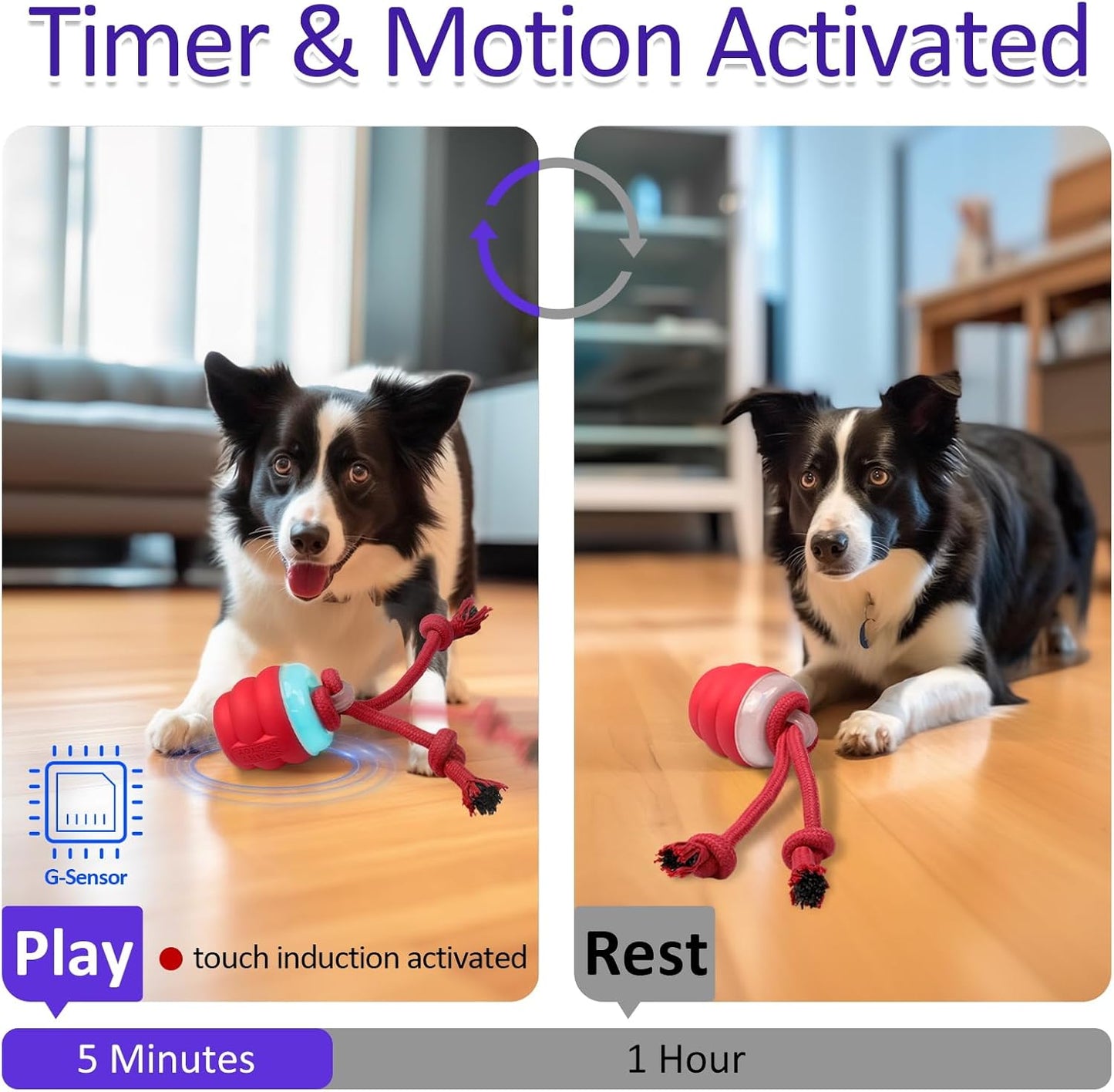 Motion Activated Interactive Dog Toy Rolling Ball